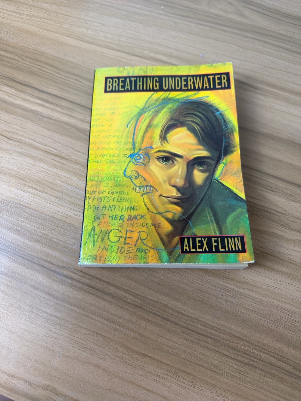 Breathing Underwater by Alex Flinn Hardcover Book